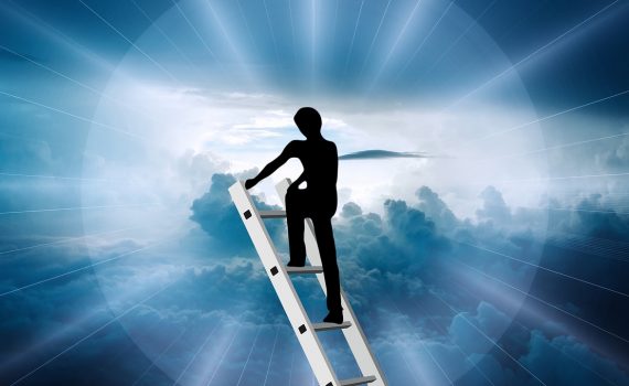 écosystème prospère